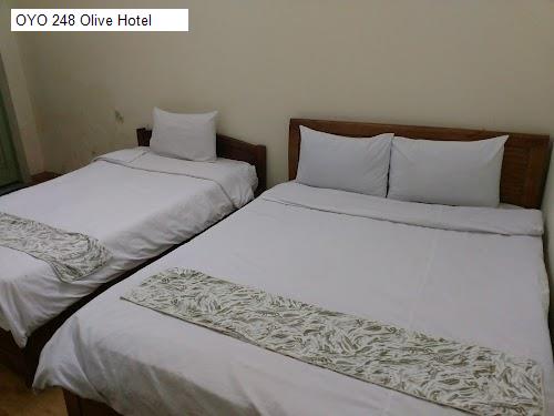 Bảng giá OYO 248 Olive Hotel